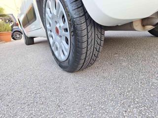FIAT Panda usata, con Immobilizzatore elettronico