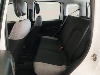 FIAT Panda usata 15