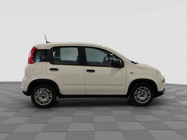 FIAT Panda usata 5