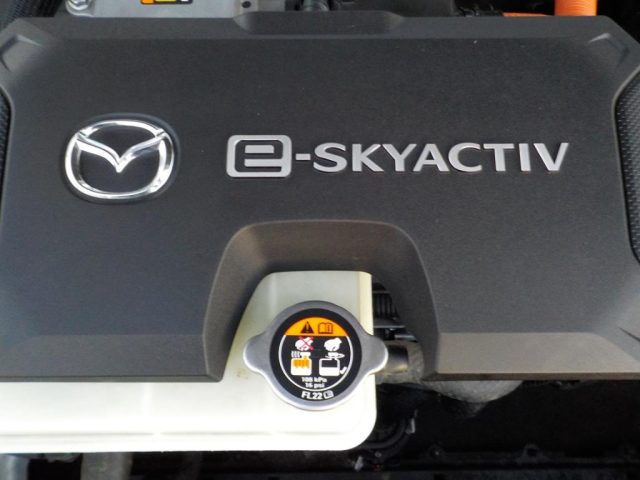 MAZDA MX-30 usata, con Frenata d