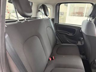 FIAT Panda usata 12
