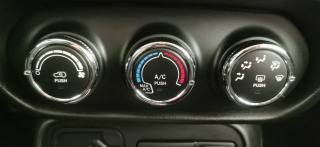 JEEP Renegade usata, con Cronologia tagliandi