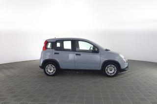 FIAT Panda usata 2
