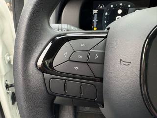 FIAT Panda usata, con Controllo trazione