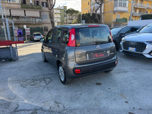 FIAT Panda usata, con Alzacristalli elettrici
