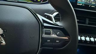 PEUGEOT 3008 usata, con Autoradio