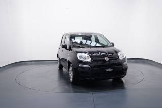 FIAT New Panda usata, con Controllo trazione