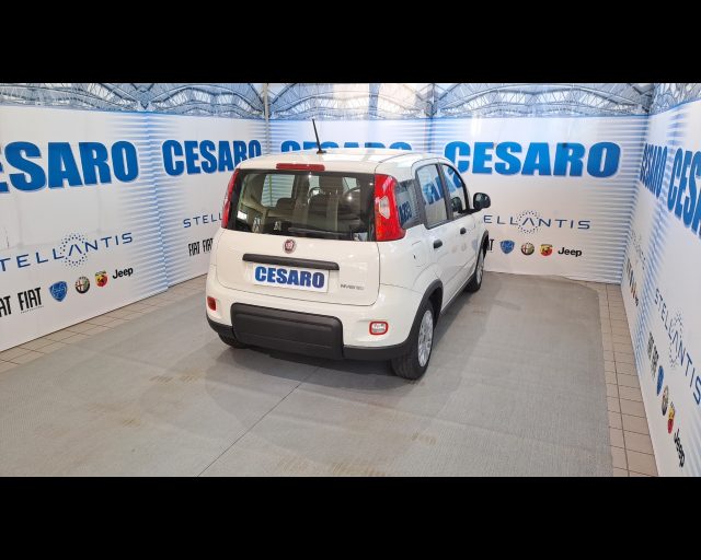 FIAT New Panda usata, con Alzacristalli elettrici