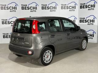FIAT Panda usata, con Alzacristalli elettrici