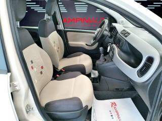 FIAT Panda usata 18