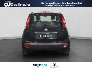 FIAT Panda usata, con Airbag Passeggero