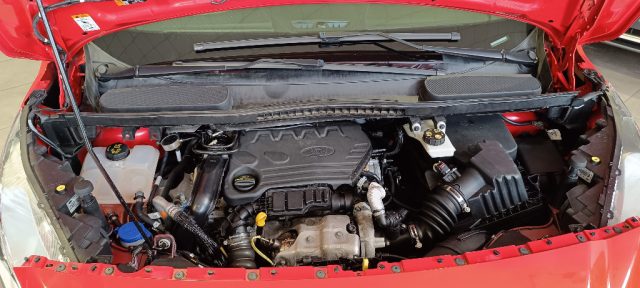 FORD Transit Connect usata 24