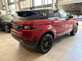 LAND ROVER Range Rover Evoque usata, con Alzacristalli elettrici