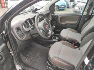 FIAT Panda usata, con Controllo trazione