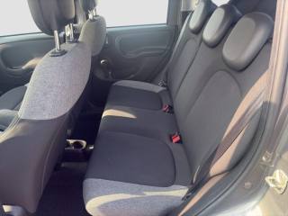 FIAT Panda usata 9