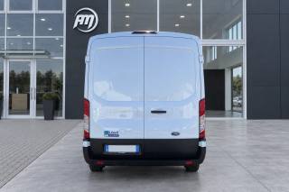 FORD Transit usata, con Fendinebbia