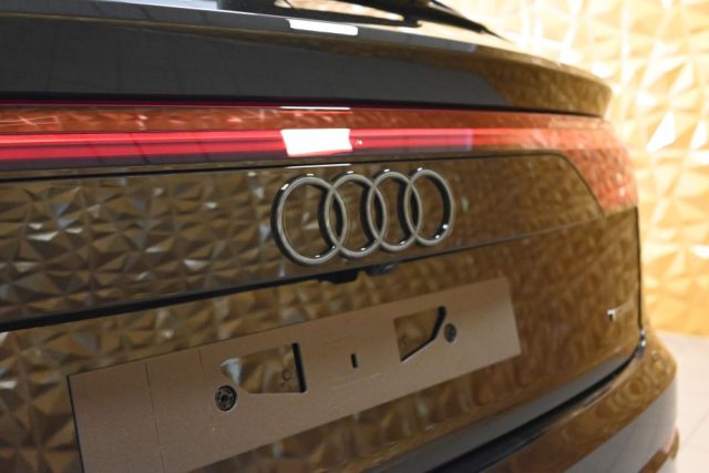 AUDI Q8 usata 19