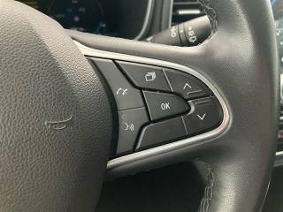 RENAULT Megane usata 22