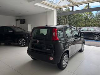 FIAT Panda usata, con Cronologia tagliandi