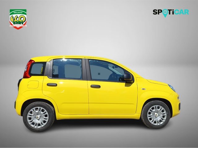 FIAT Pandina usata, con Airbag Passeggero