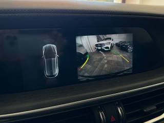 ALFA ROMEO Stelvio usata, con Interni in pelle