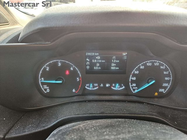 FORD Transit Connect usata, con Servosterzo