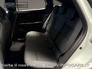 RENAULT Austral usata, con Boardcomputer