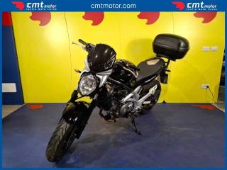 SUZUKI Gladius usata 2