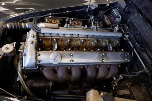 JAGUAR XK usata 13