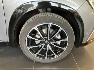 RENAULT Austral usata, con Cruise Control