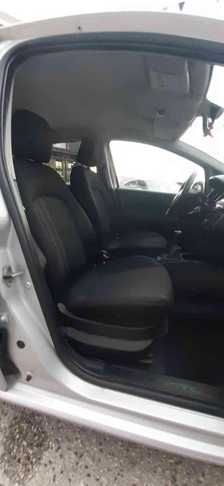 FIAT Punto usata 18