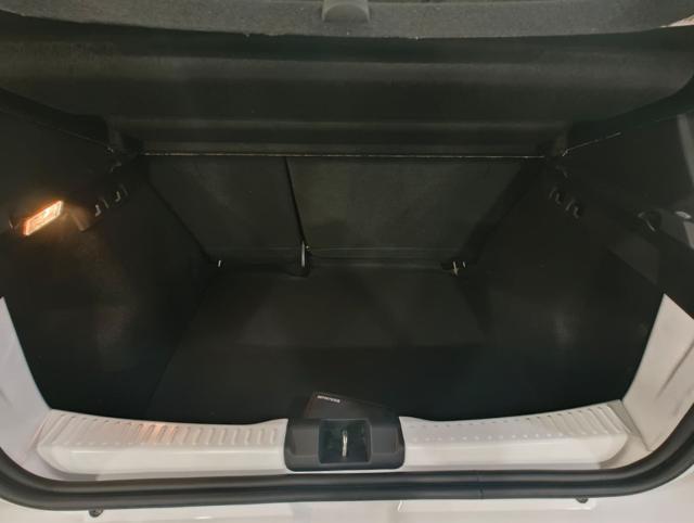 DACIA Sandero usata, con Fendinebbia