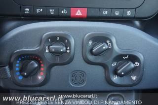 FIAT Panda usata 9