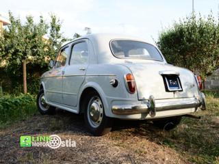 FIAT 1100 usata 6