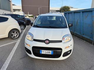 FIAT Panda usata, con Airbag Passeggero