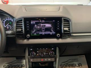 SKODA Karoq usata, con Park Distance Control