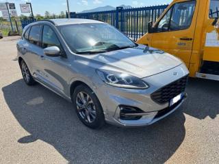 FORD Kuga 1.5 EcoBlue 120 CV aut. 2WD ST-Line IVA ESPOSTA