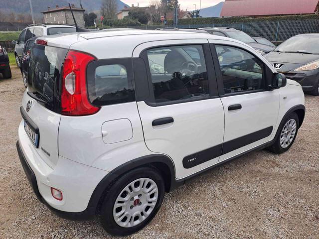 FIAT Panda usata 23
