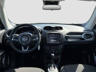 JEEP Renegade usata 11
