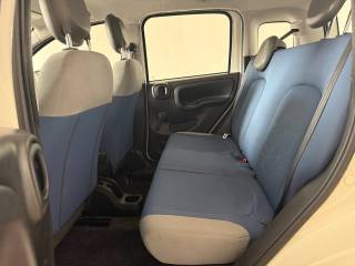 FIAT Panda usata 13