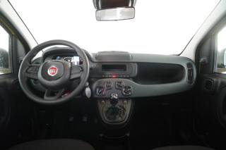 FIAT Panda usata 11