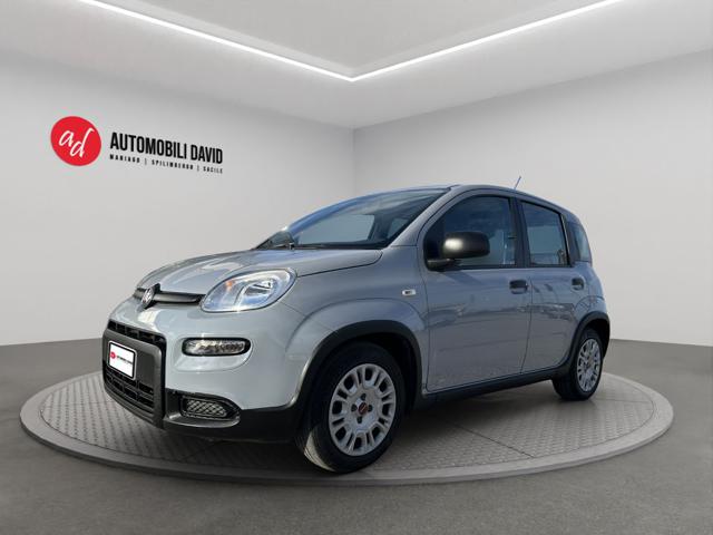 FIAT Panda usata, con ABS