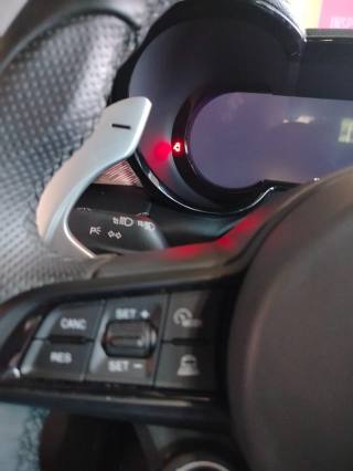 ALFA ROMEO Tonale usata, con Specchietti laterali elettrici