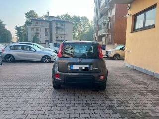 FIAT Panda usata 4
