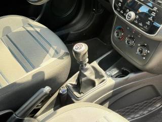 FIAT Punto Evo usata, con Fendinebbia