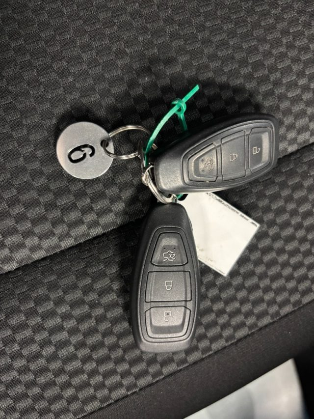 FORD Puma usata, con Vivavoce