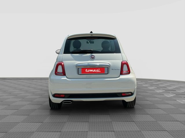 FIAT 500 usata 3