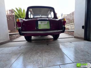 AUTOBIANCHI Bianchina usata 45