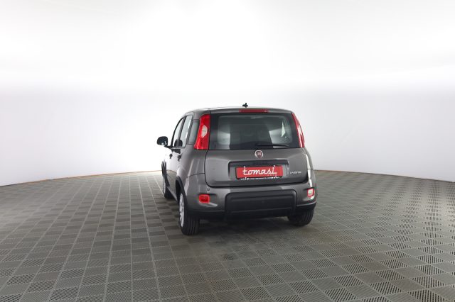 FIAT Panda usata 4