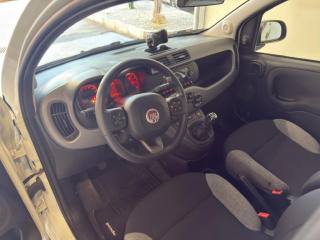 FIAT Panda usata 15